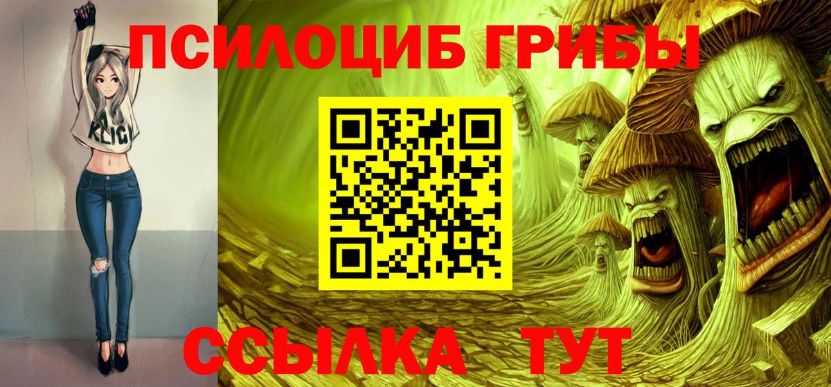 сколько стоит  Вход с VPN  Кисловодск  Галлюциногенные грибы прущие грибы 
