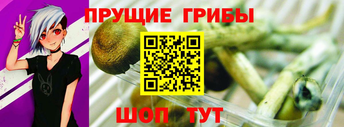 Псилоцибиновые грибы ЛСД Кисловодск